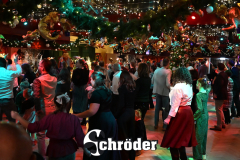 all-in-the-family-schroder-haarlem186